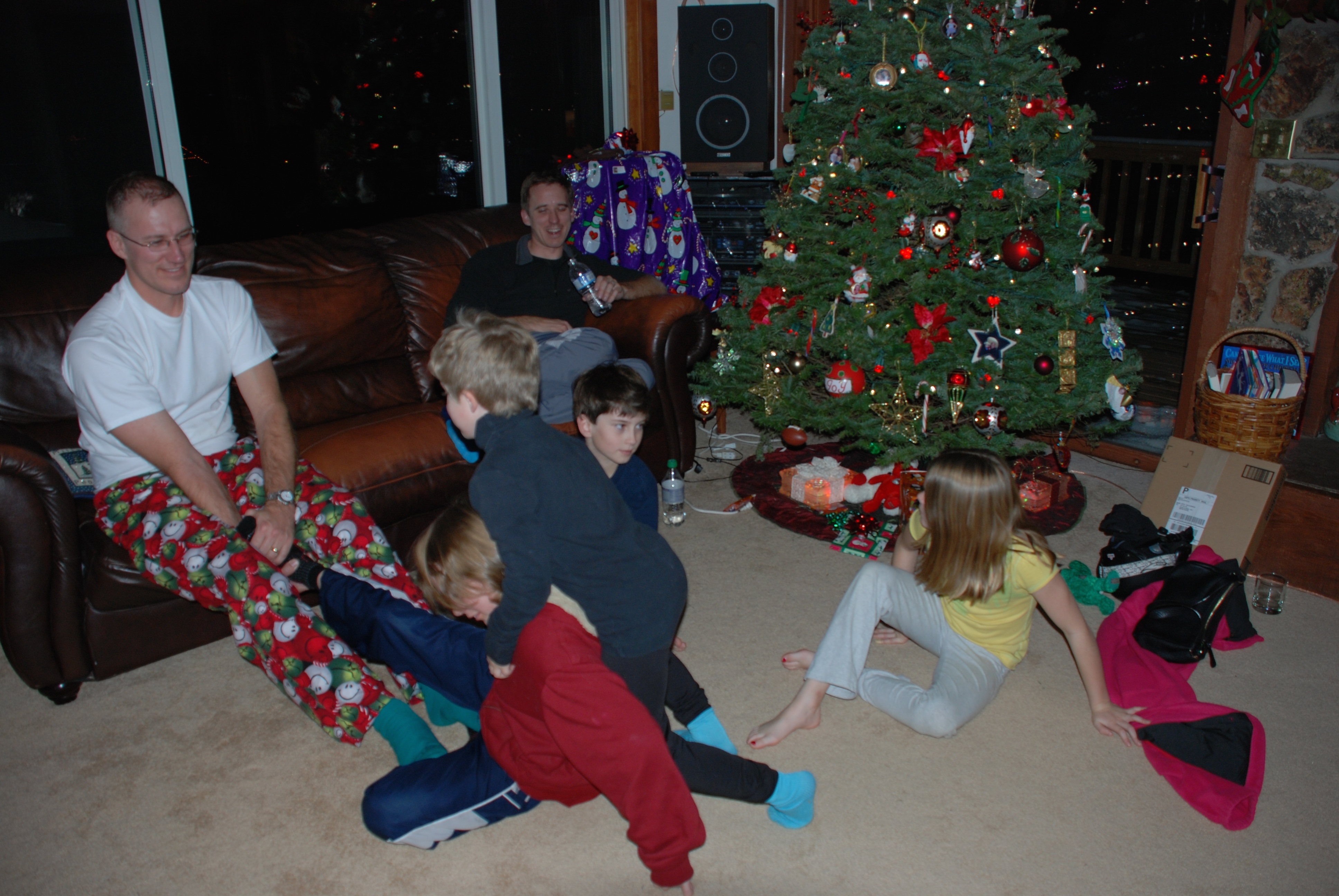 2010-12-21 Christmas in CO 21.jpg
